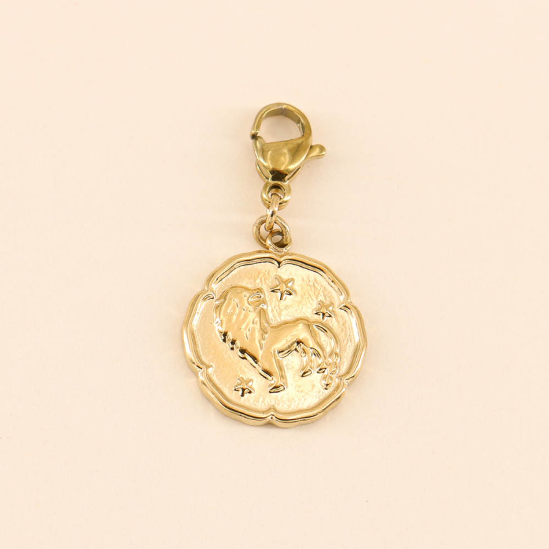 Charms astro en acier inoxydable LION